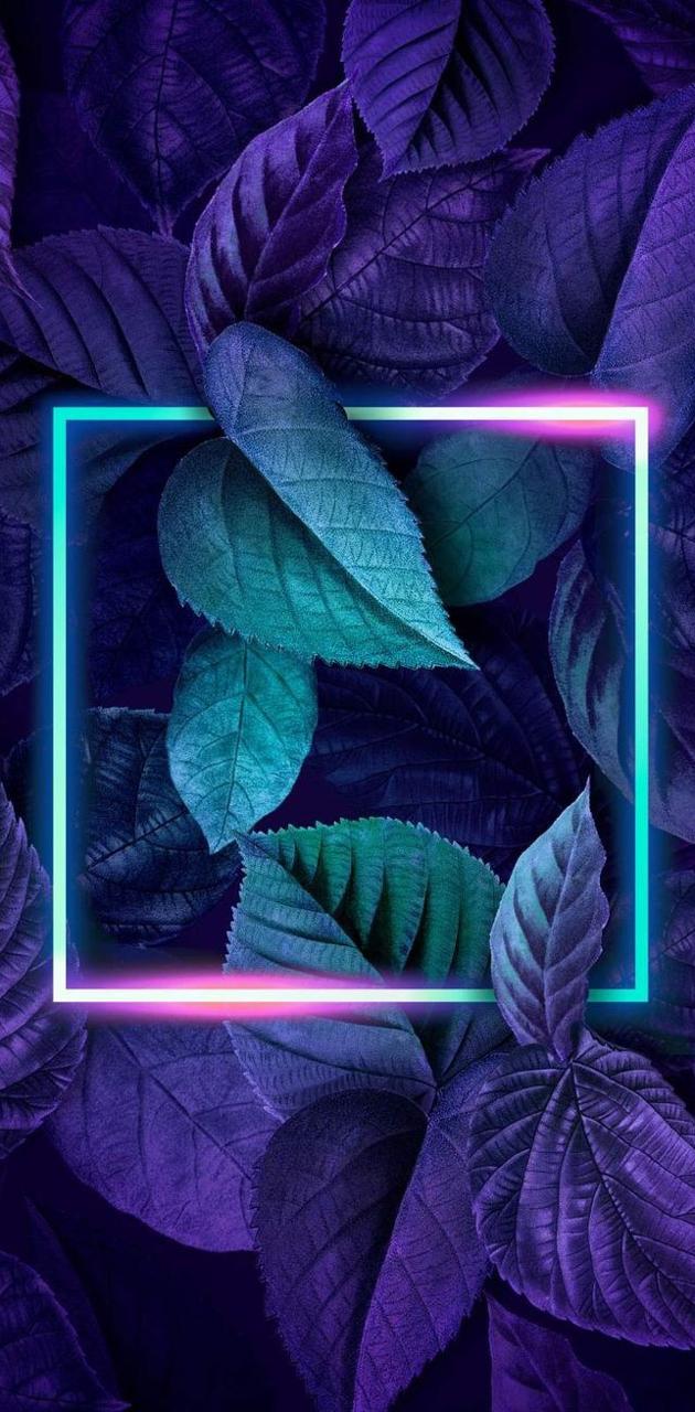 Blue Leaves Wallpapers Wallpaper Cave