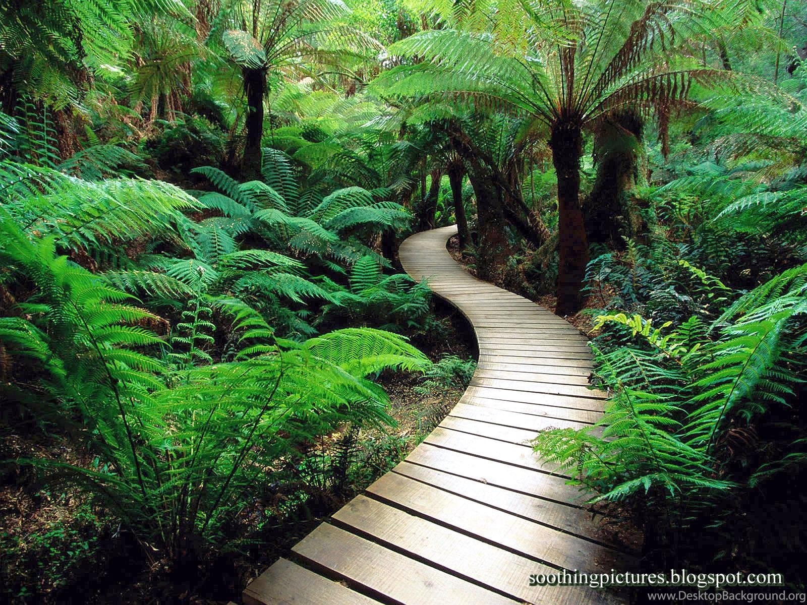 Calm Nature Wallpapers Wallpaper Cave