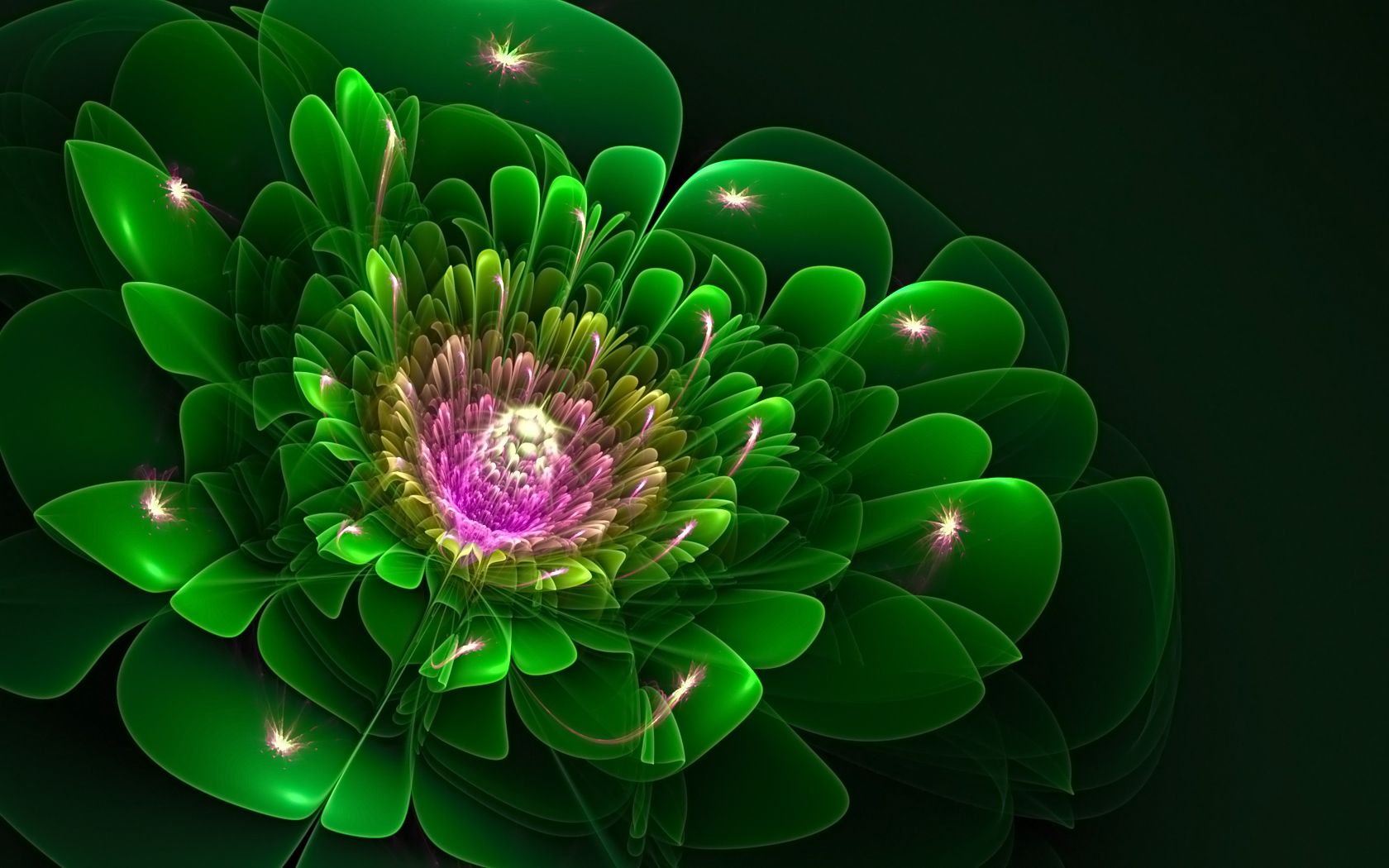 Purple Green Flower Wallpapers Wallpaper Cave