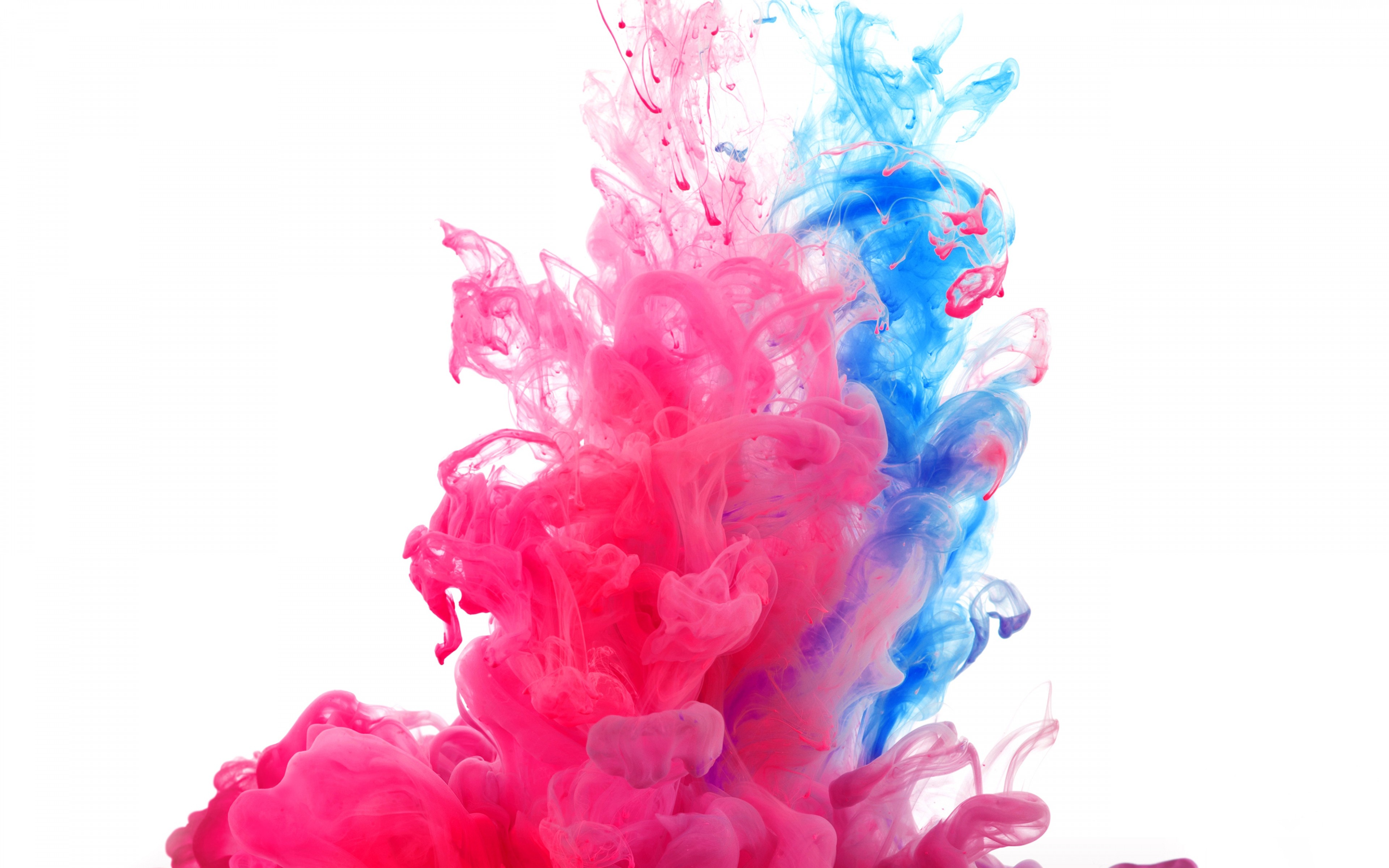 Paint Explosion Wallpapers Wallpaper Cave