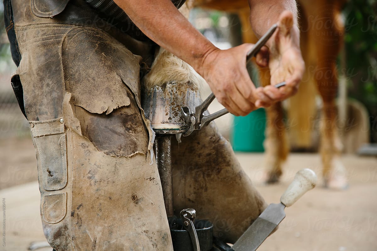 Farrier Wallpapers Wallpaper Cave