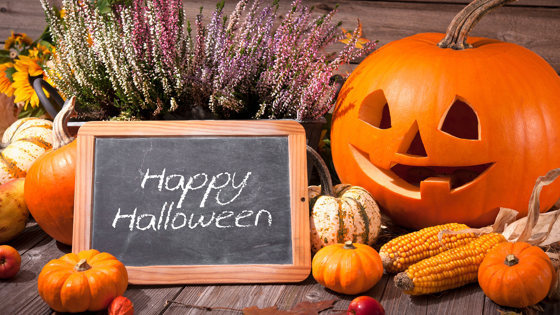 Flowers Halloween Wallpapers Wallpaper Cave