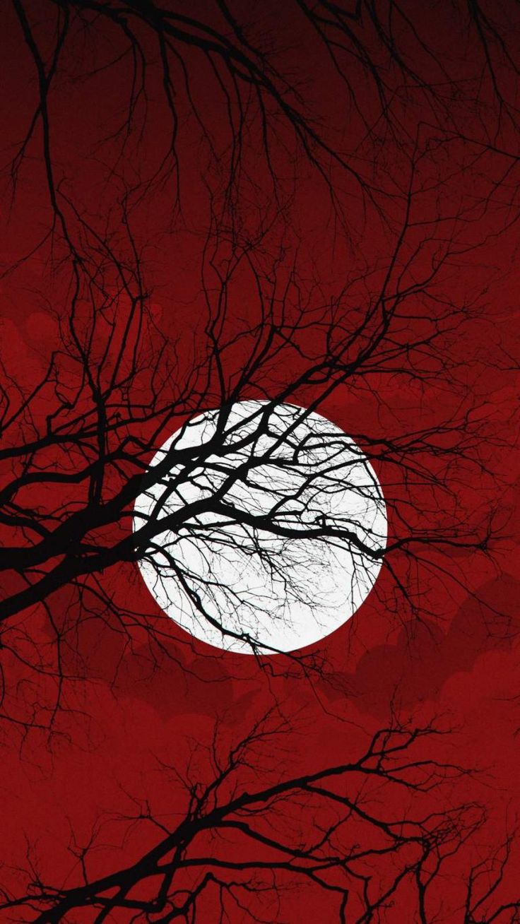 Red Halloween Aesthetic Wallpapers Wallpaper Cave