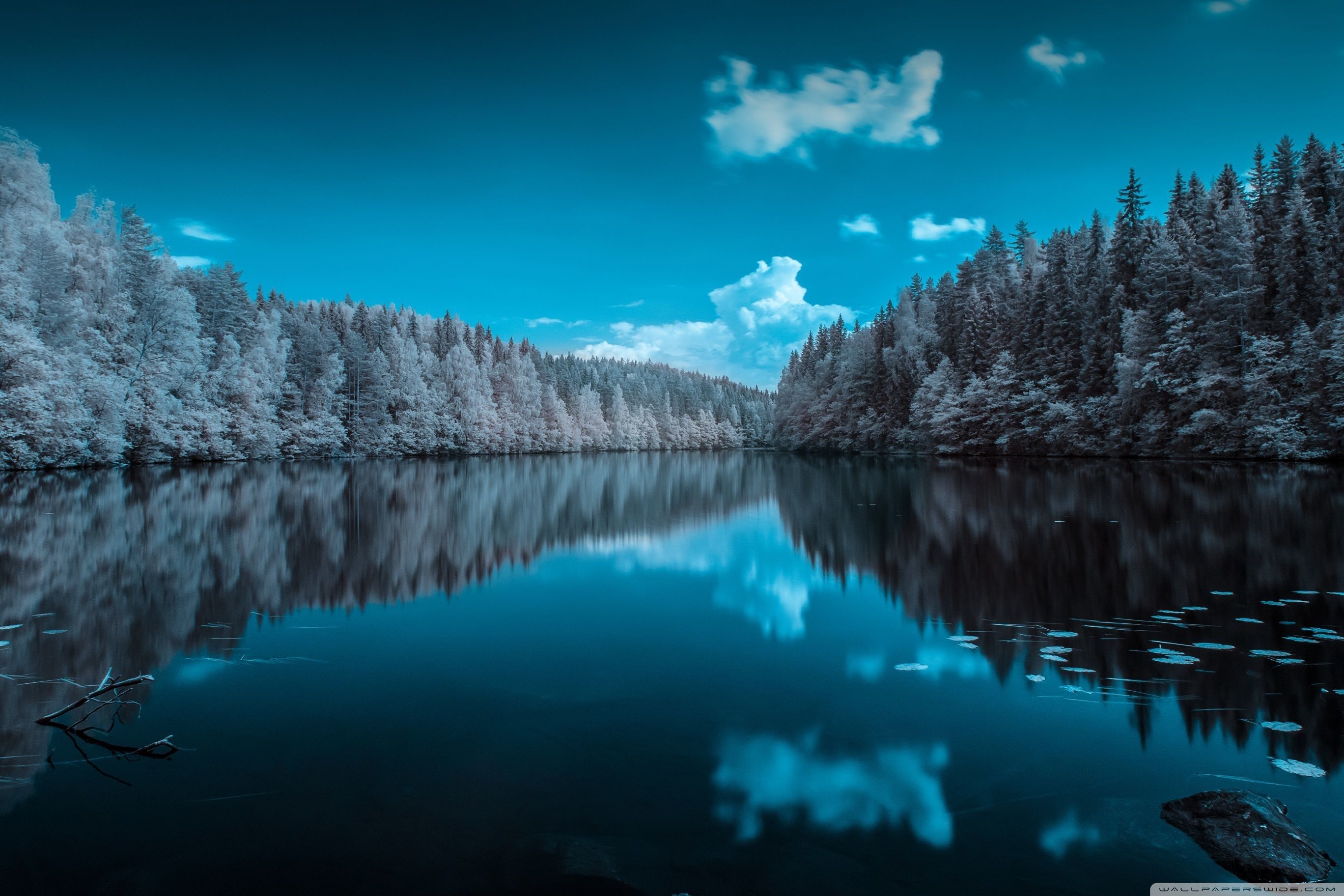 2736x1824 Wallpapers Wallpaper Cave