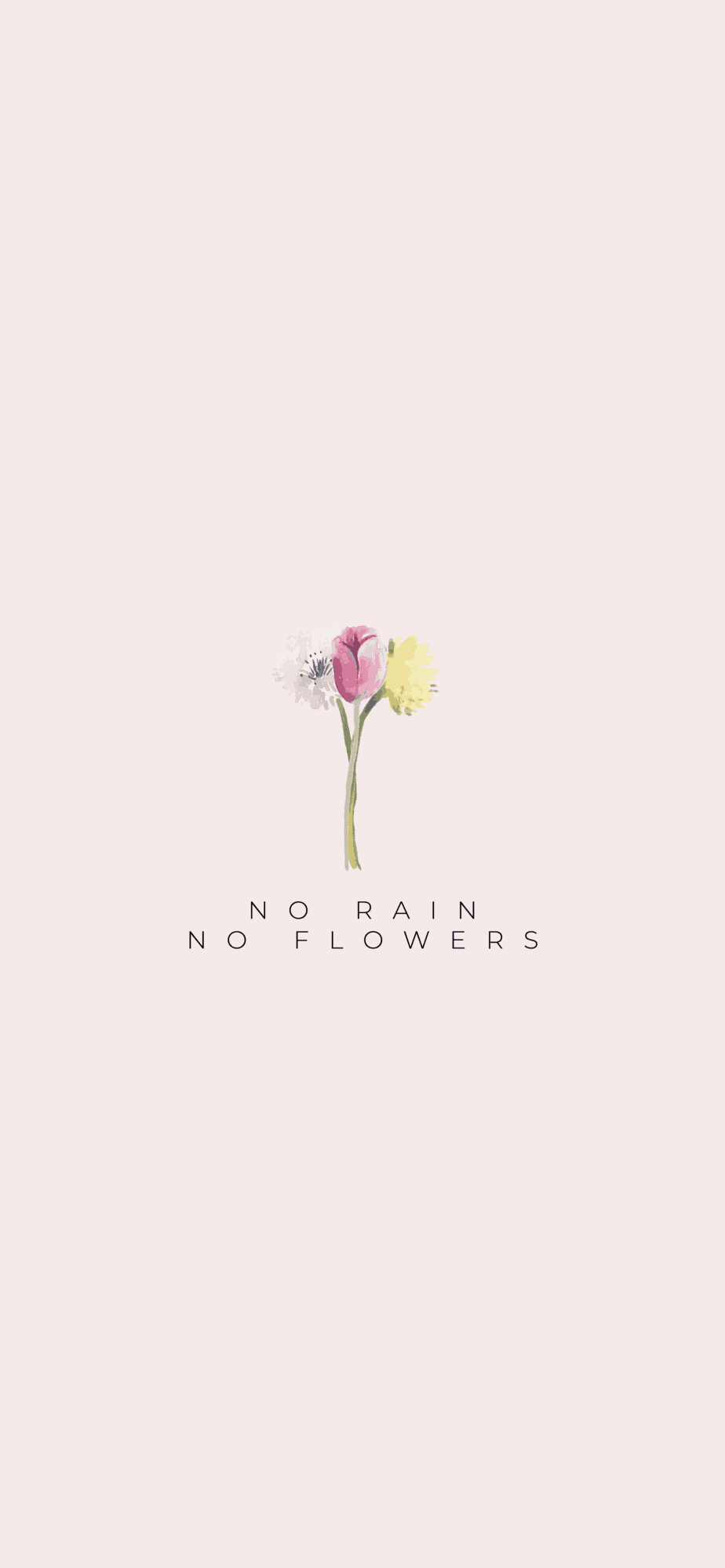 No Rain No Flowers Wallpapers Wallpaper Cave