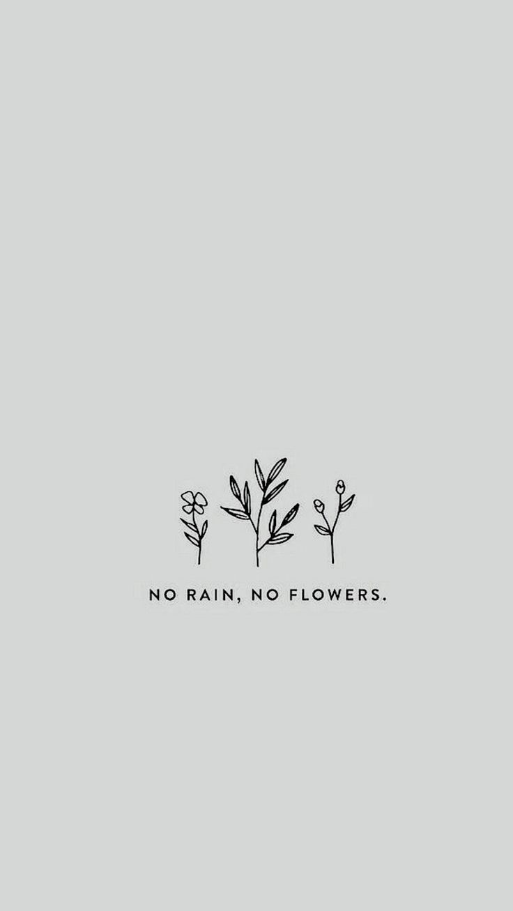 No Rain No Flowers Wallpapers Wallpaper Cave