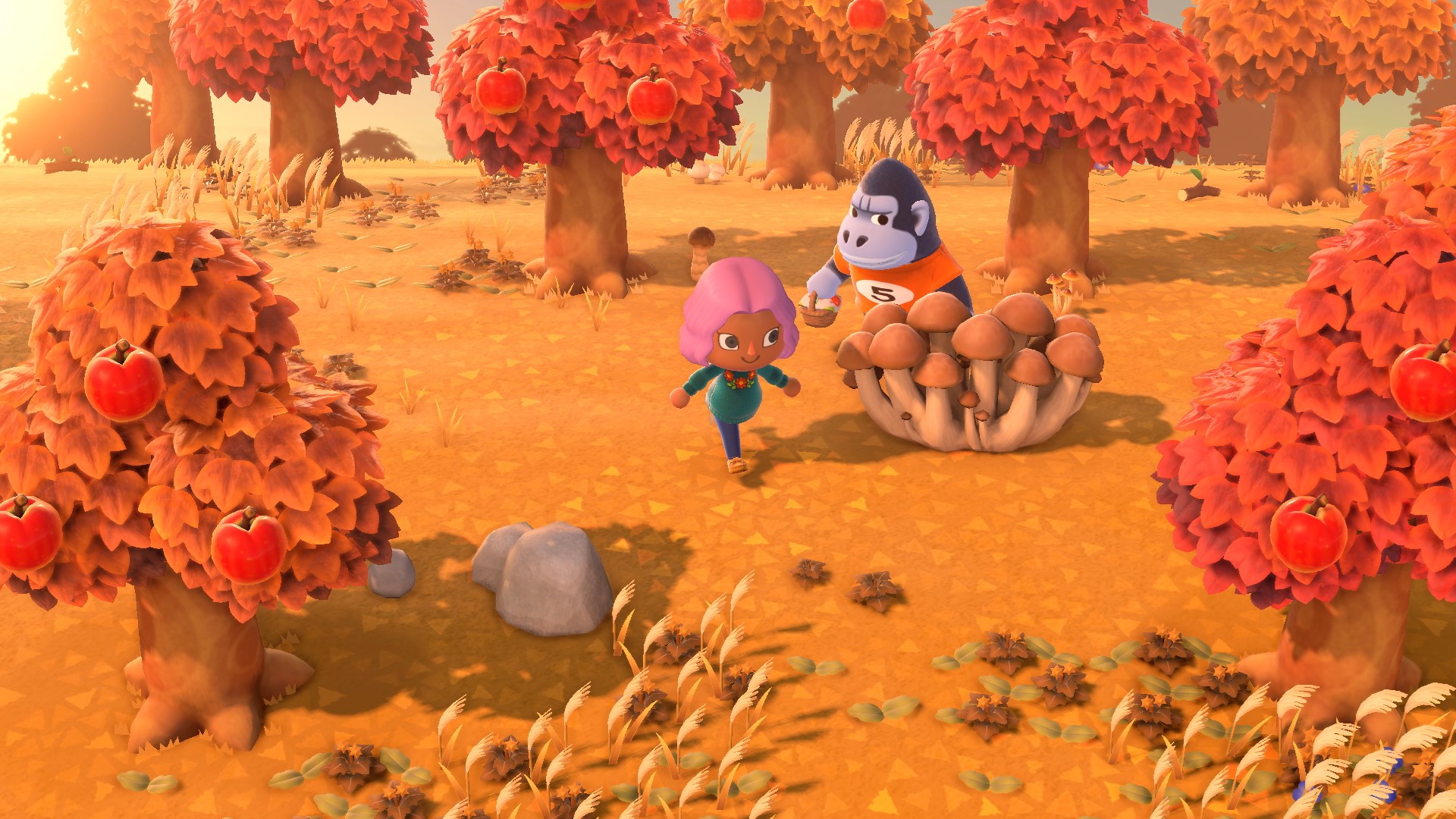 Animal Crossing Fall Wallpapers Wallpaper Cave