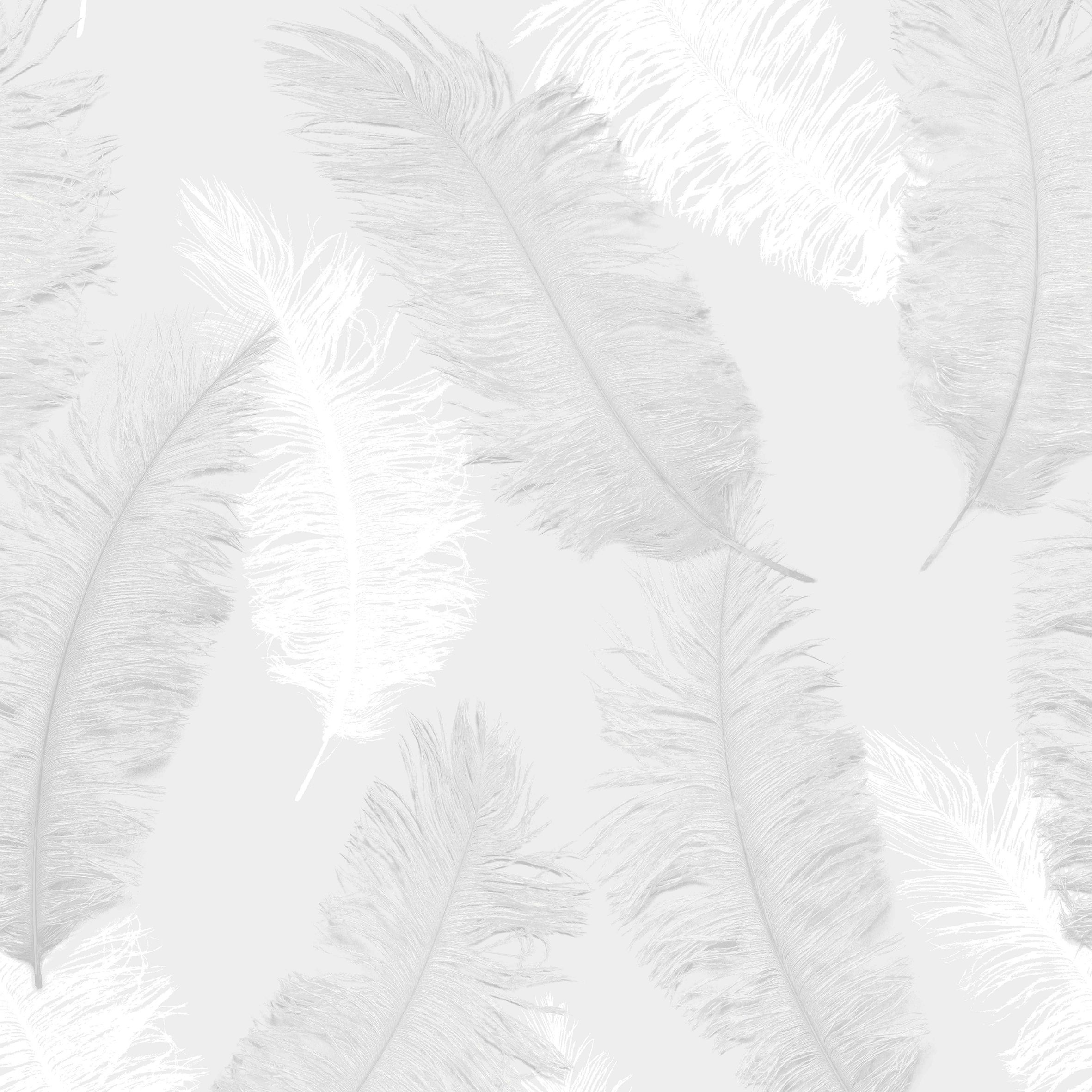 White Feather Background