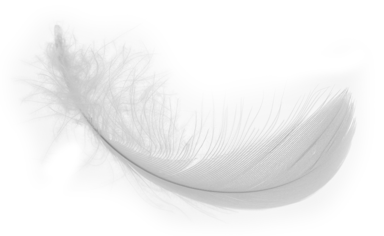 White Feather Wallpapers Wallpaper Cave