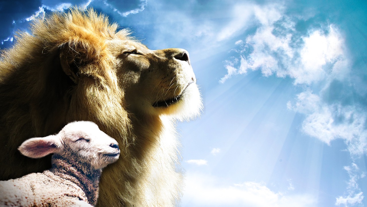 Lion And The Lamb Wallpapers Wallpaper Cave
