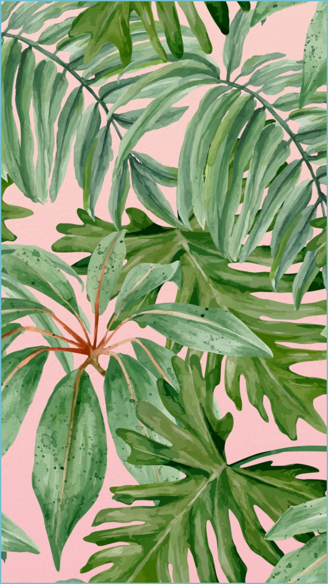 Cute Leaves Wallpapers Wallpaper Cave