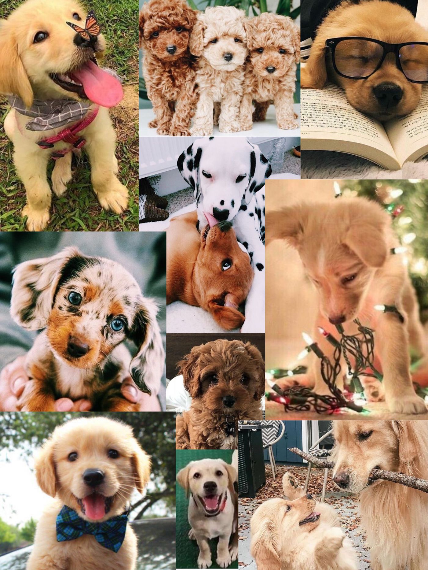 Dog Collages Wallpapers Wallpaper Cave