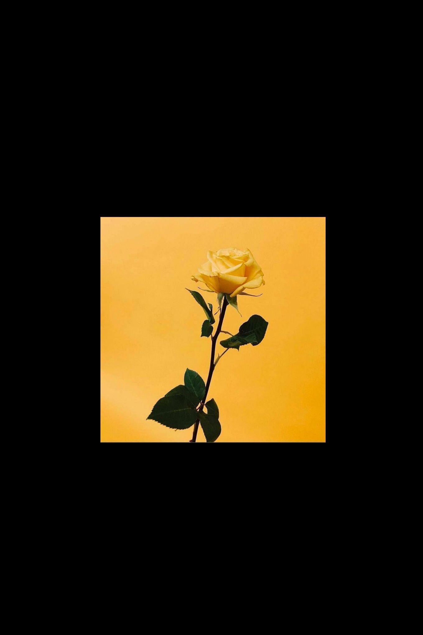 Yellow And Black Aesthetic Wallpapers Wallpaper Cave