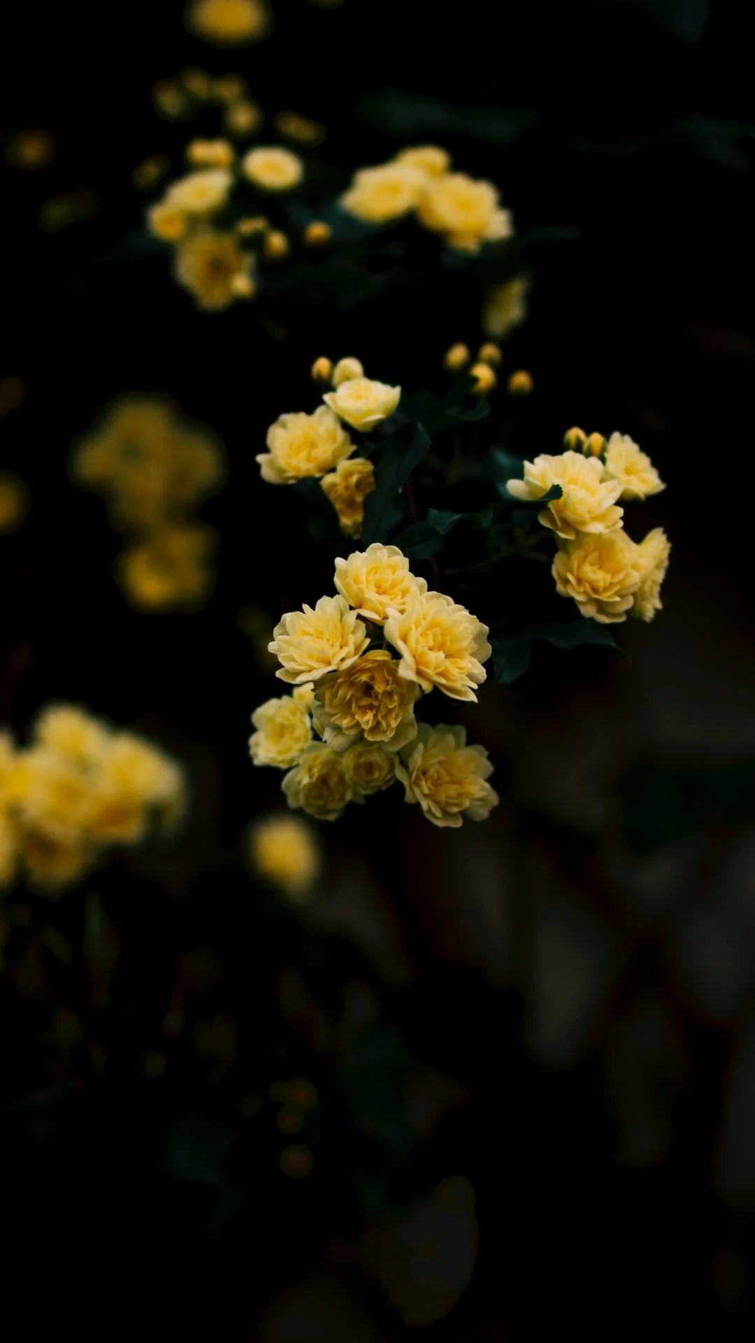 Yellow And Black Aesthetic Wallpapers Wallpaper Cave