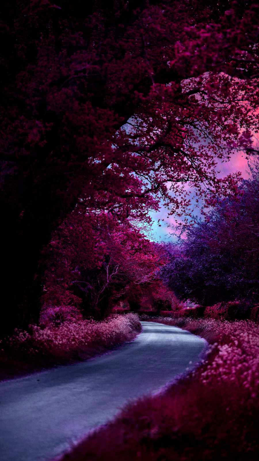 Red Scenery Wallpapers Wallpaper Cave