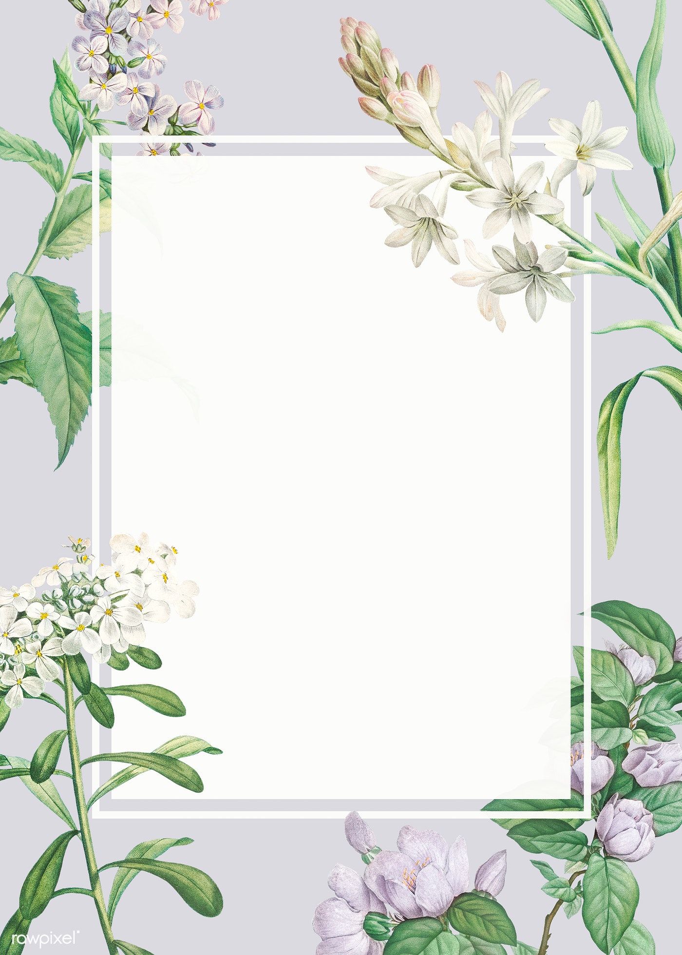 Floral Frame Wallpapers Wallpaper Cave