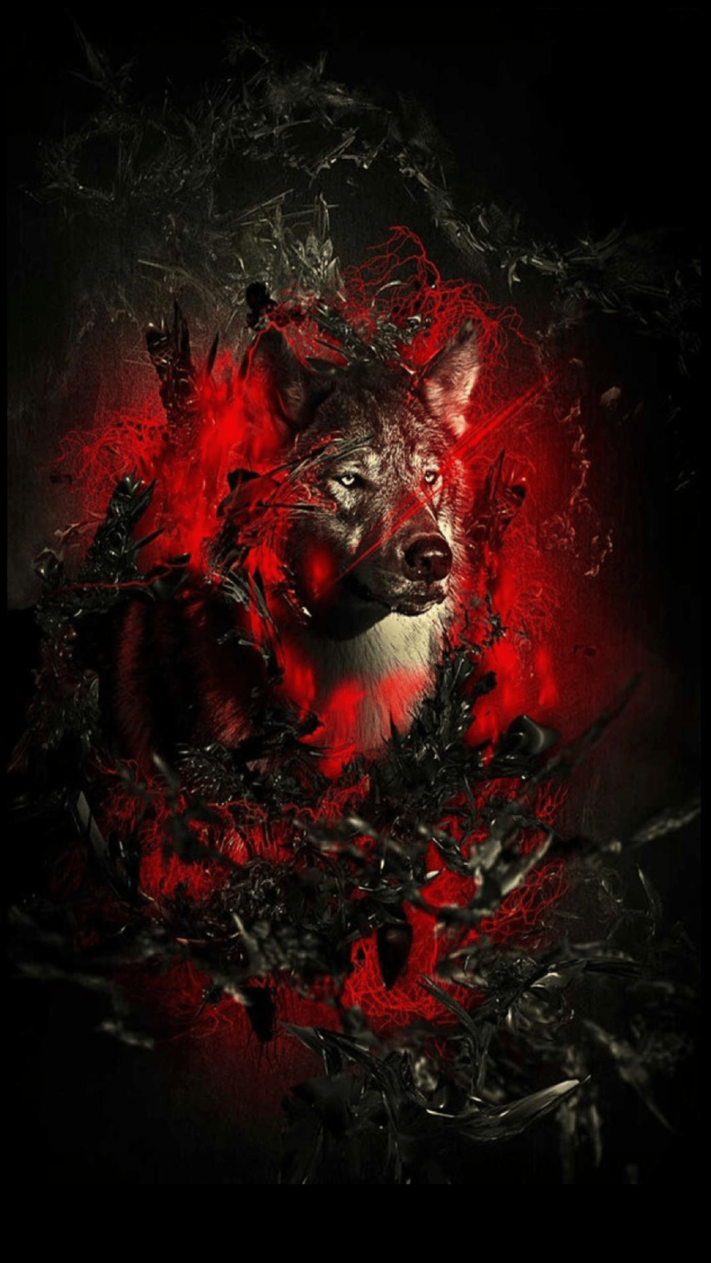 Bloody Wolf Wallpapers Wallpaper Cave