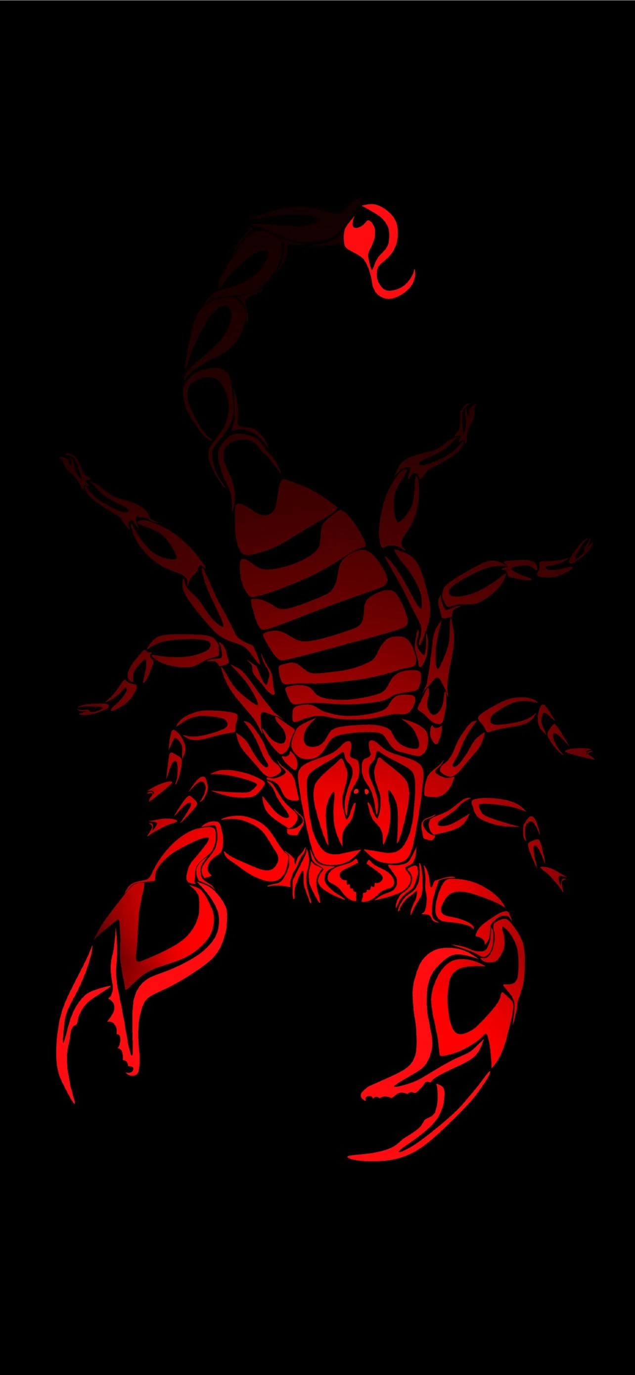 Black Scorpion Wallpapers Wallpaper Cave