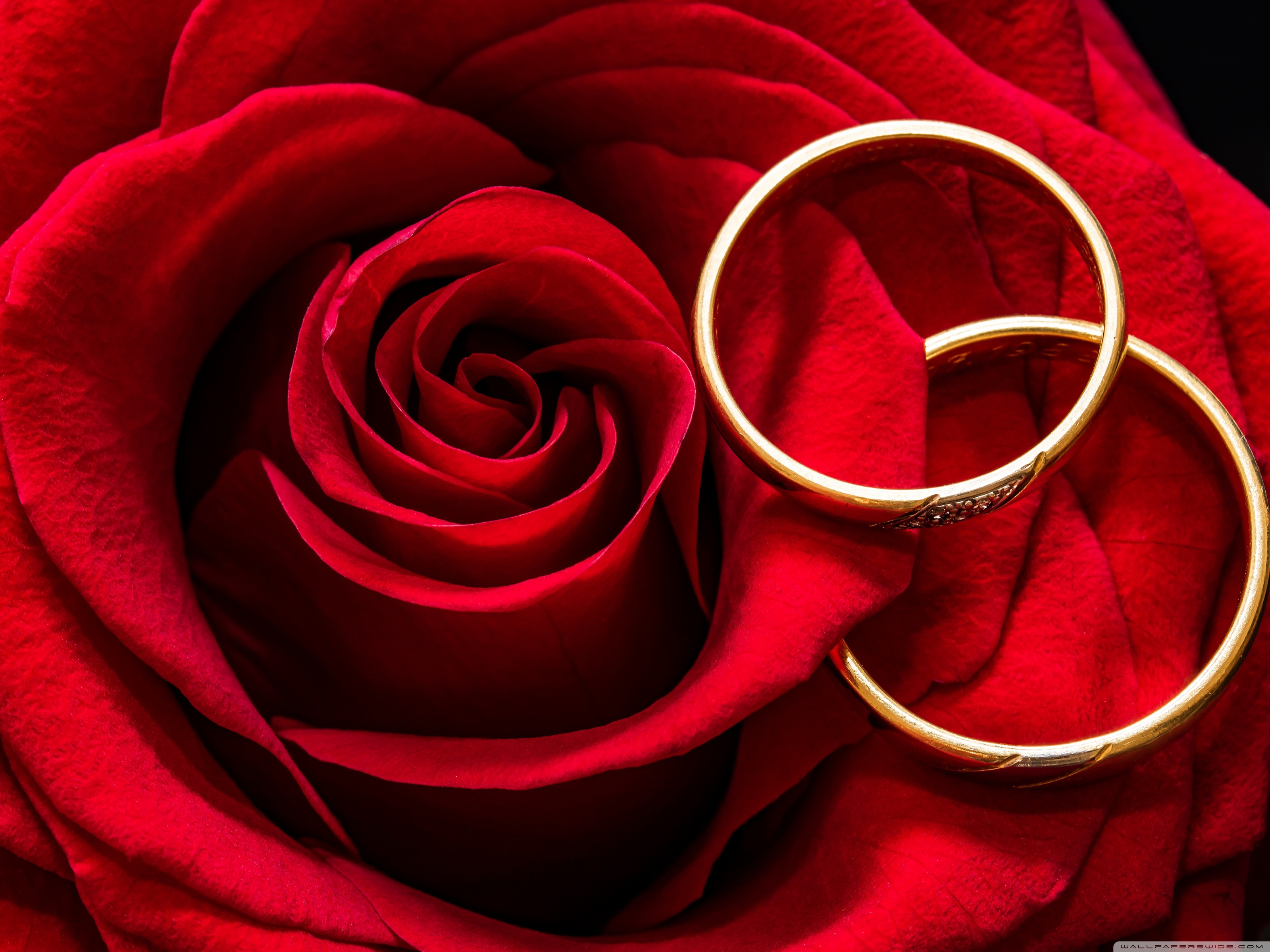 Red Wedding Wallpapers Wallpaper Cave