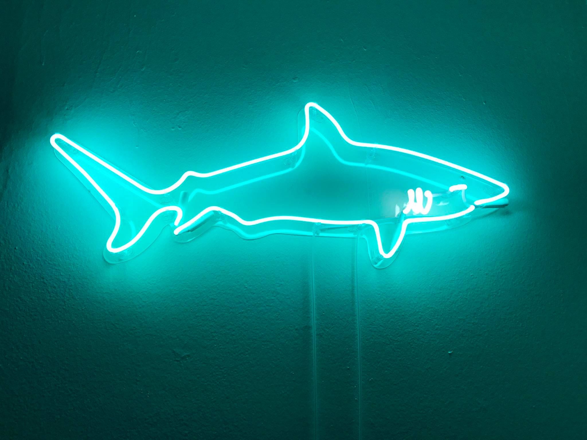 Neon Shark Wallpapers Wallpaper Cave