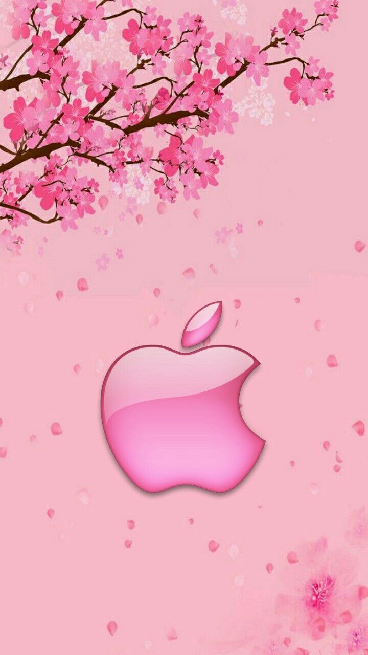 Apple Pink Wallpapers Wallpaper Cave