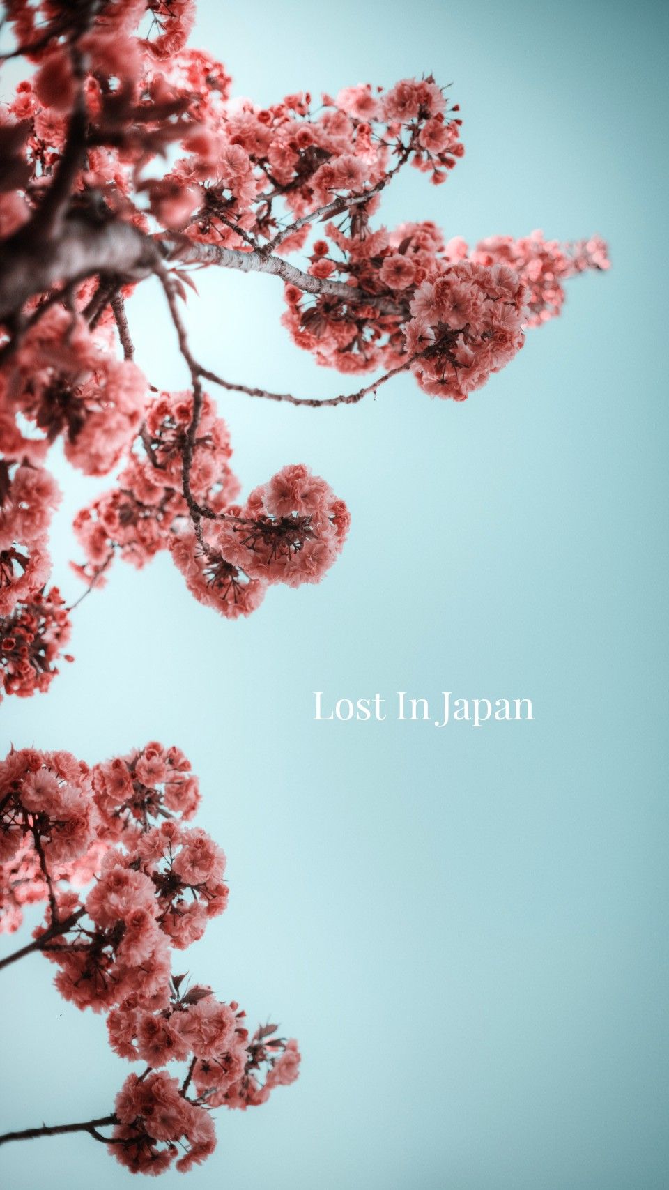 Lost In Japan Wallpapers Wallpaper Cave
