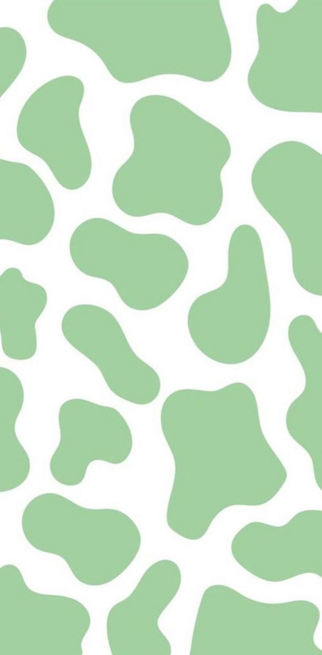 Sage Green Cow Print Wallpapers Wallpaper Cave