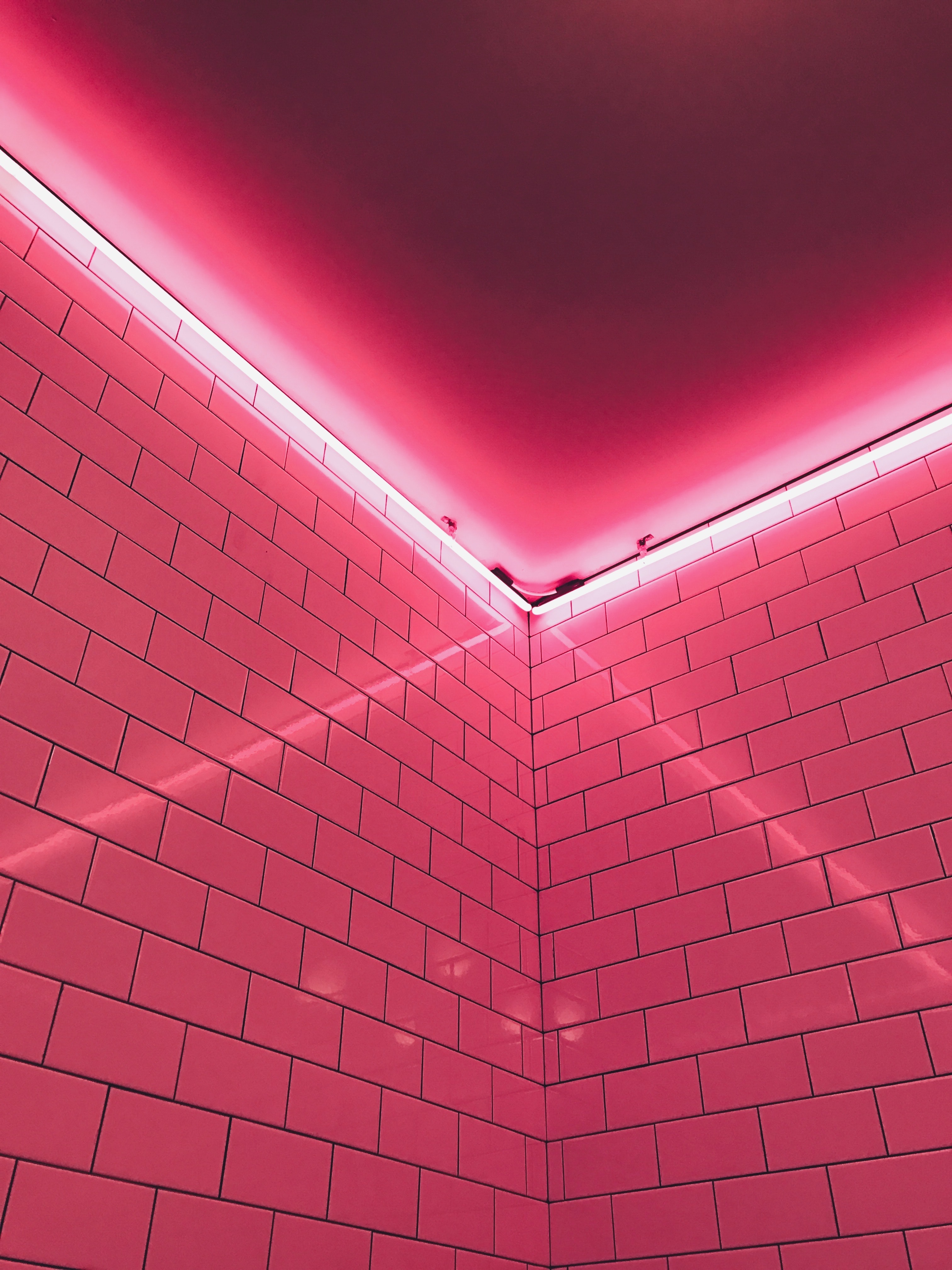 Pink Neon Lights Wallpapers Wallpaper Cave