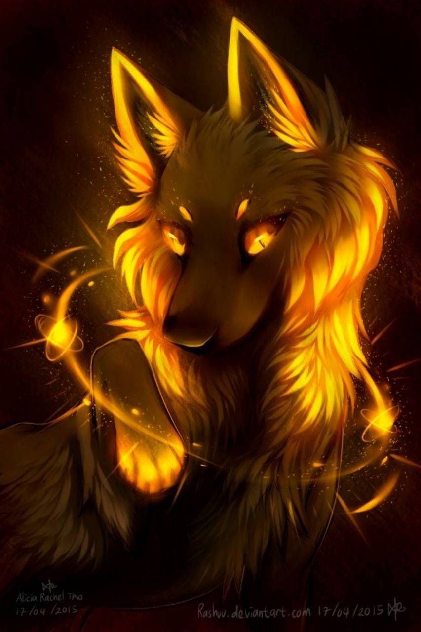 Golden Wolf Wallpapers Wallpaper Cave