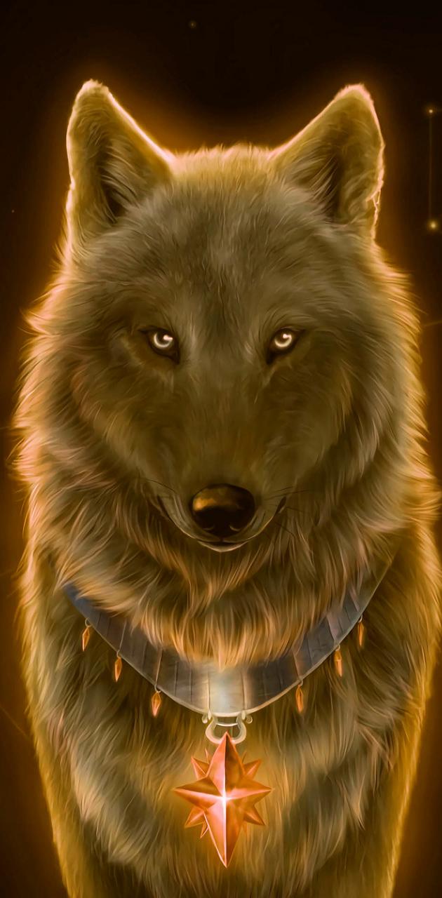 Yellow Wolf Wallpapers Wallpaper Cave