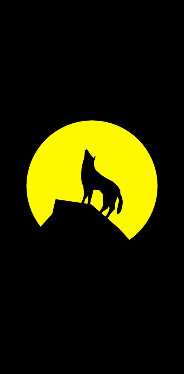 Yellow Wolf Wallpapers Wallpaper Cave
