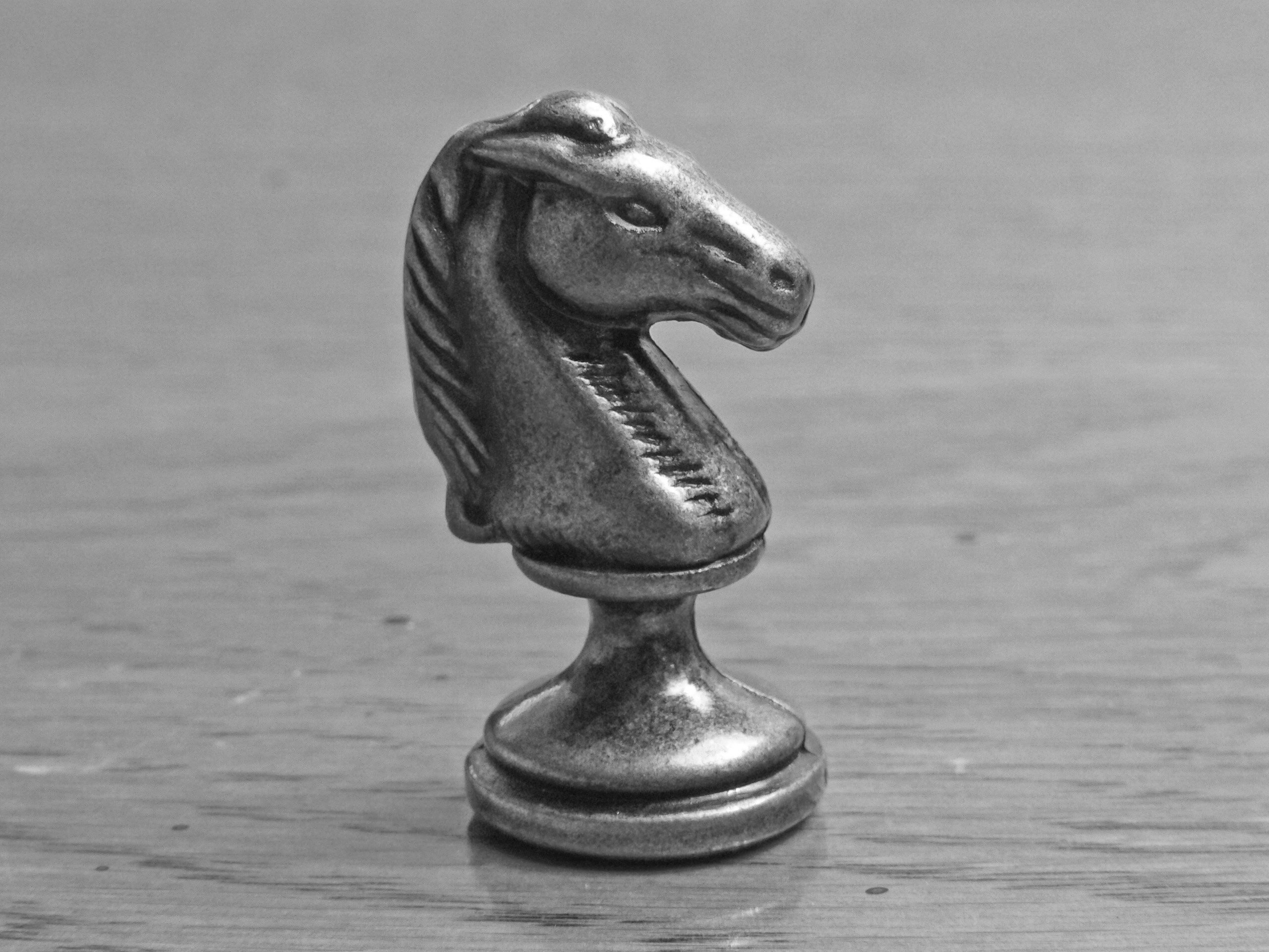 Chess Horse Wallpapers Wallpaper Cave