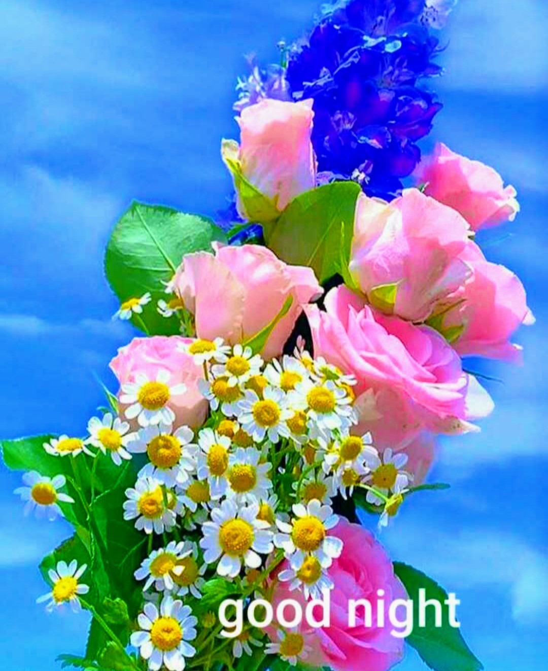 Good Night Flower Wallpapers Wallpaper Cave