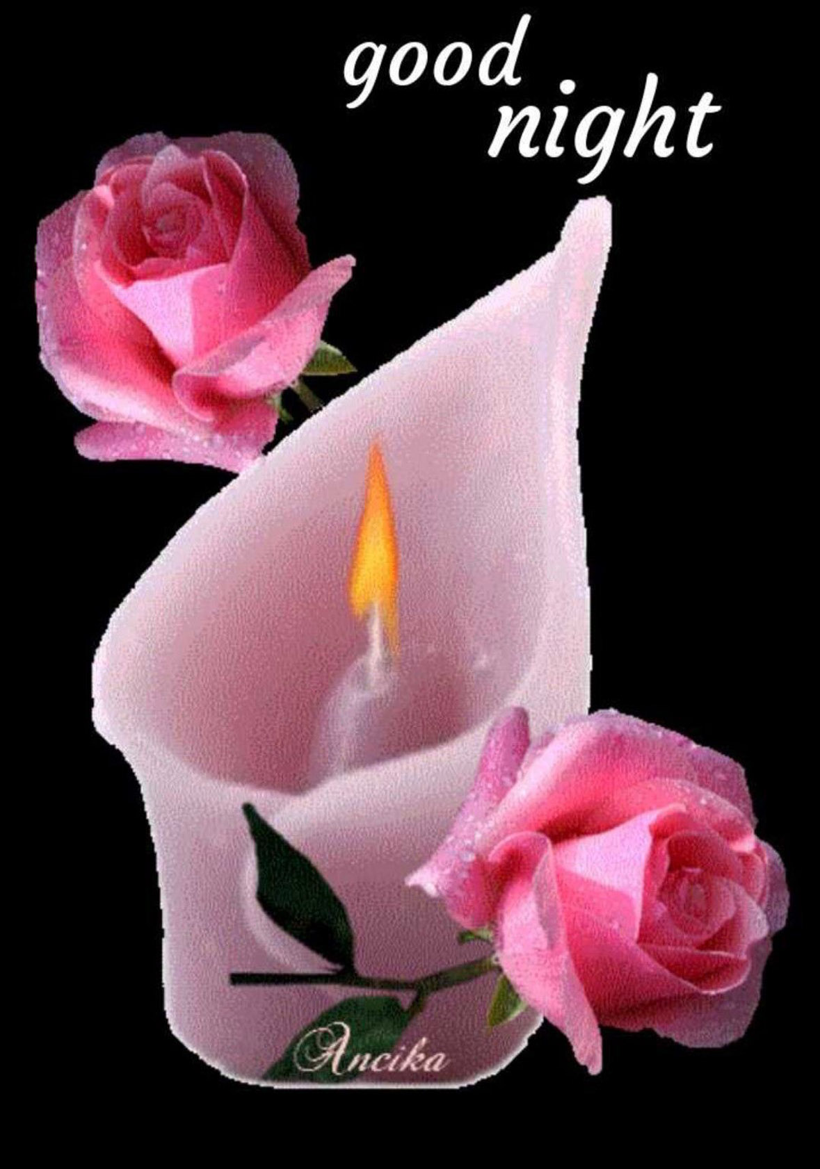 Good Night Flower Wallpapers Wallpaper Cave