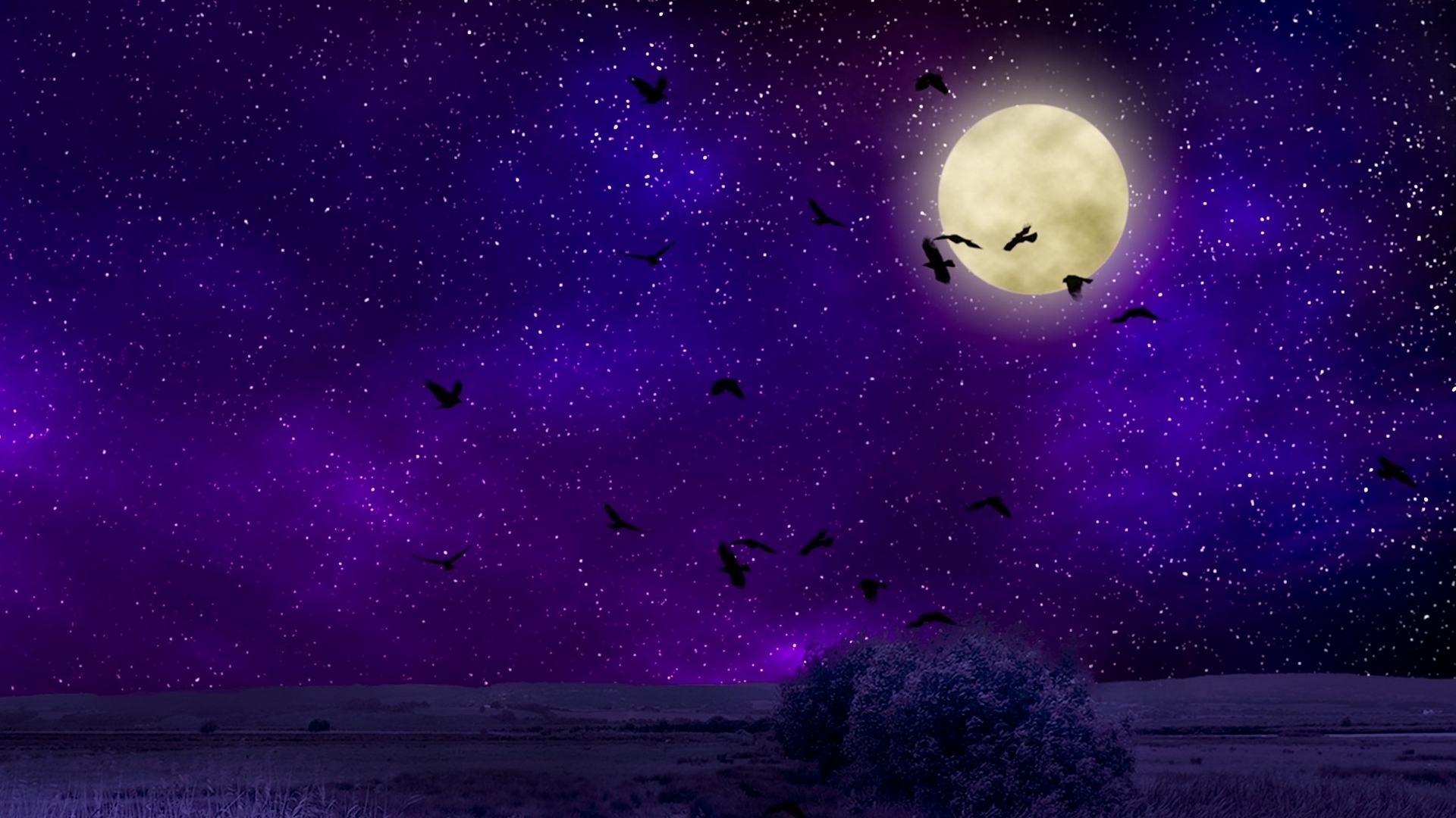 Moon Night Sky Wallpapers Wallpaper Cave