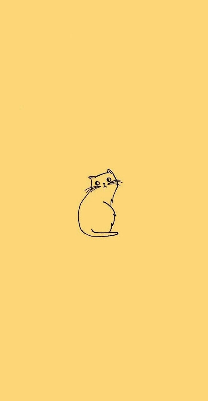 Yellow Cat Wallpapers Wallpaper Cave