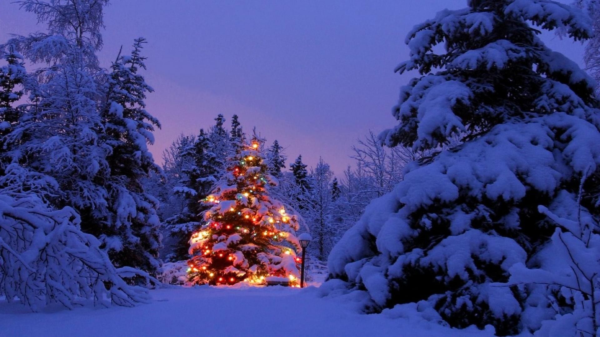 Outdoor Christmas Scenes Wallpaper Outdoor Christmas Scenes Wallpapers Wallpaper Cave