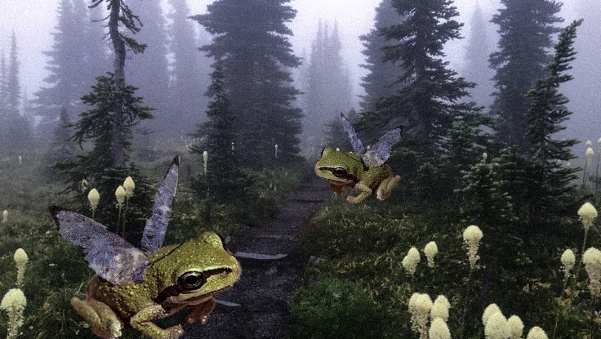 Aesthetic Fairycore Wallpapers Wallpaper Cave