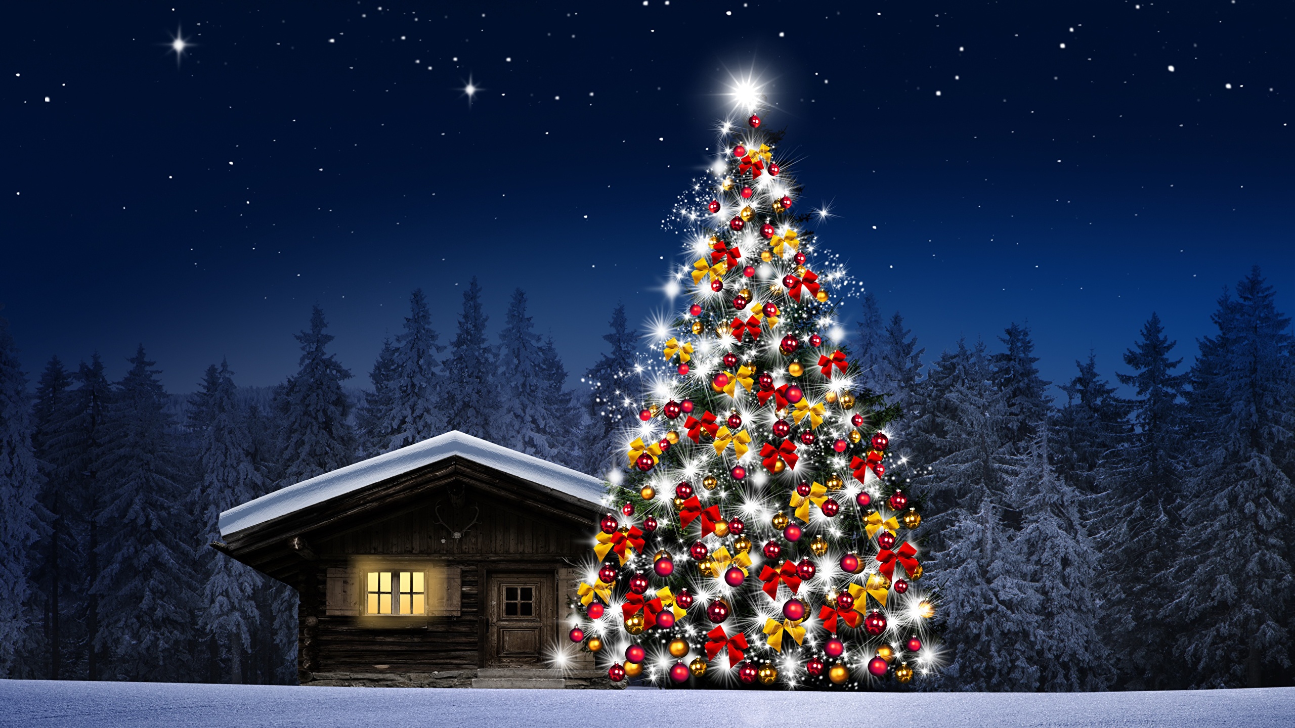 Christmas Night 2560x1440 Wallpapers Wallpaper Cave