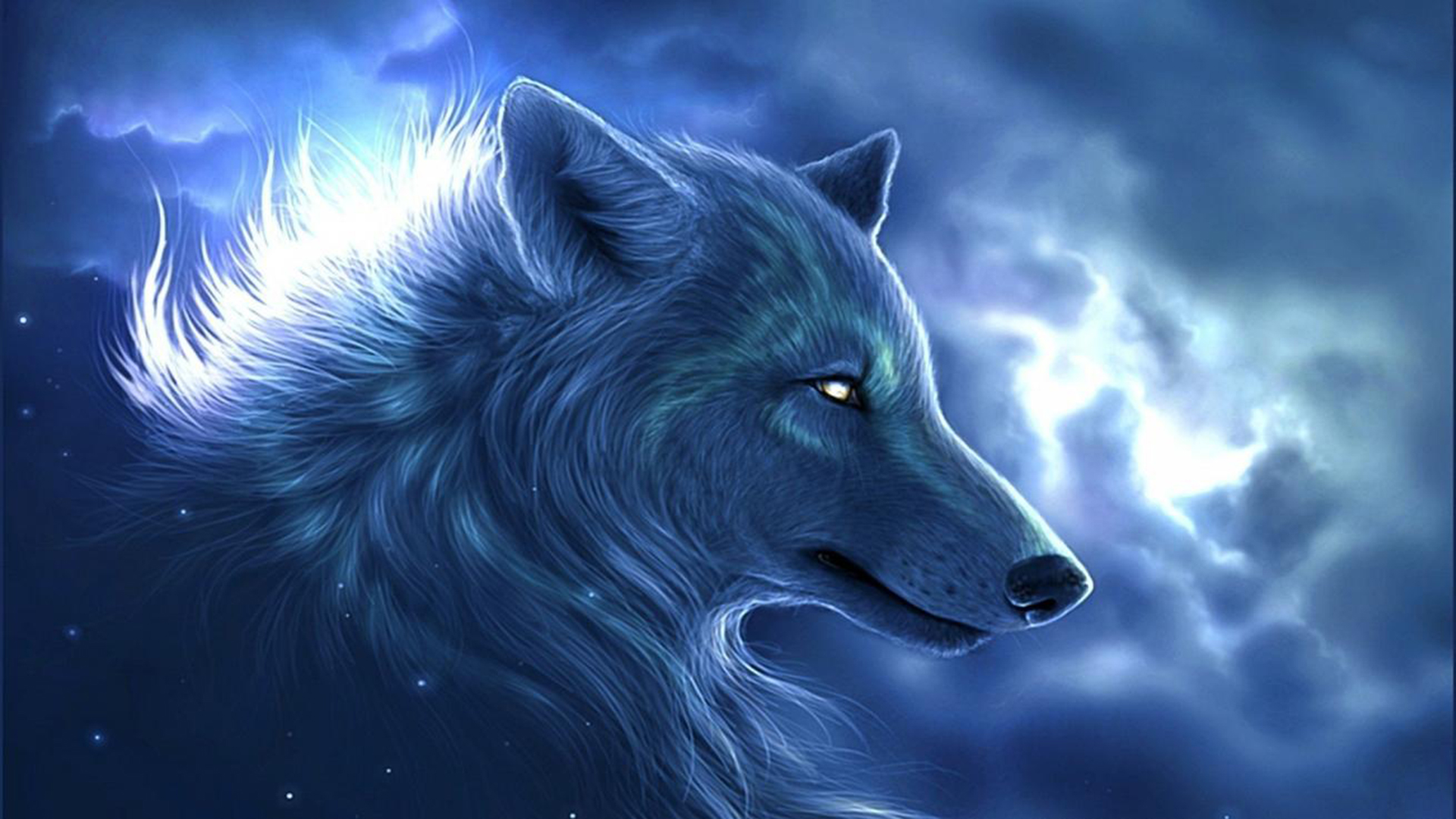 Cool Blue Wolf Wallpapers Wallpaper Cave