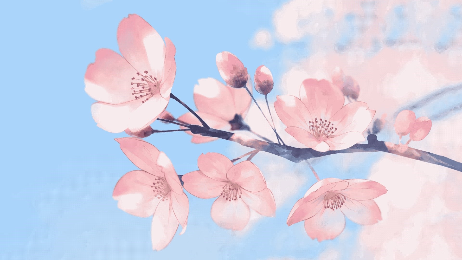 Pink Anime Flowers Wallpapers Wallpaper Cave