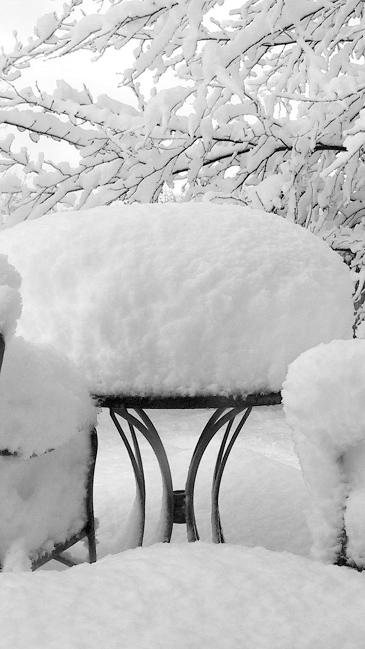 Winter iPhone White Wallpapers Wallpaper Cave