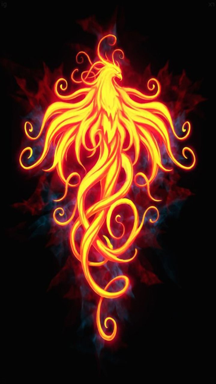Neon Phoenix Wallpapers Wallpaper Cave