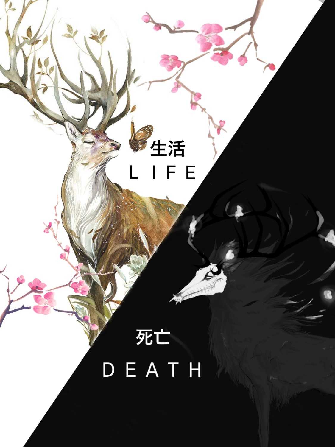 Life Or Death Wallpapers Wallpaper Cave