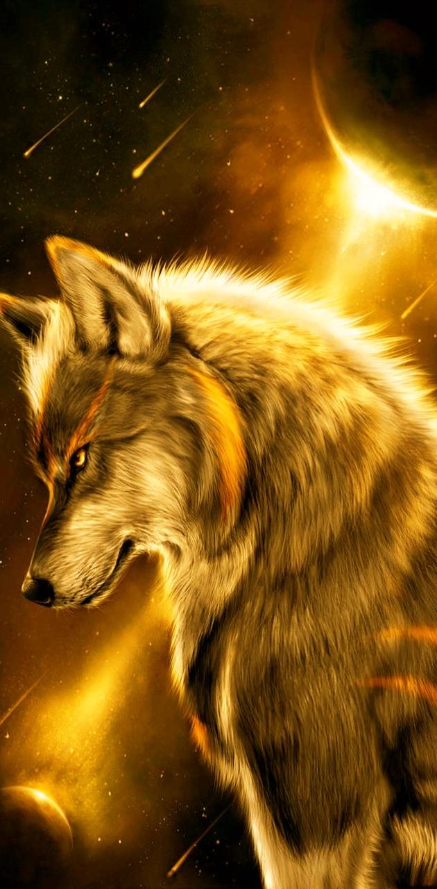 Gold Wolf Wallpapers Wallpaper Cave