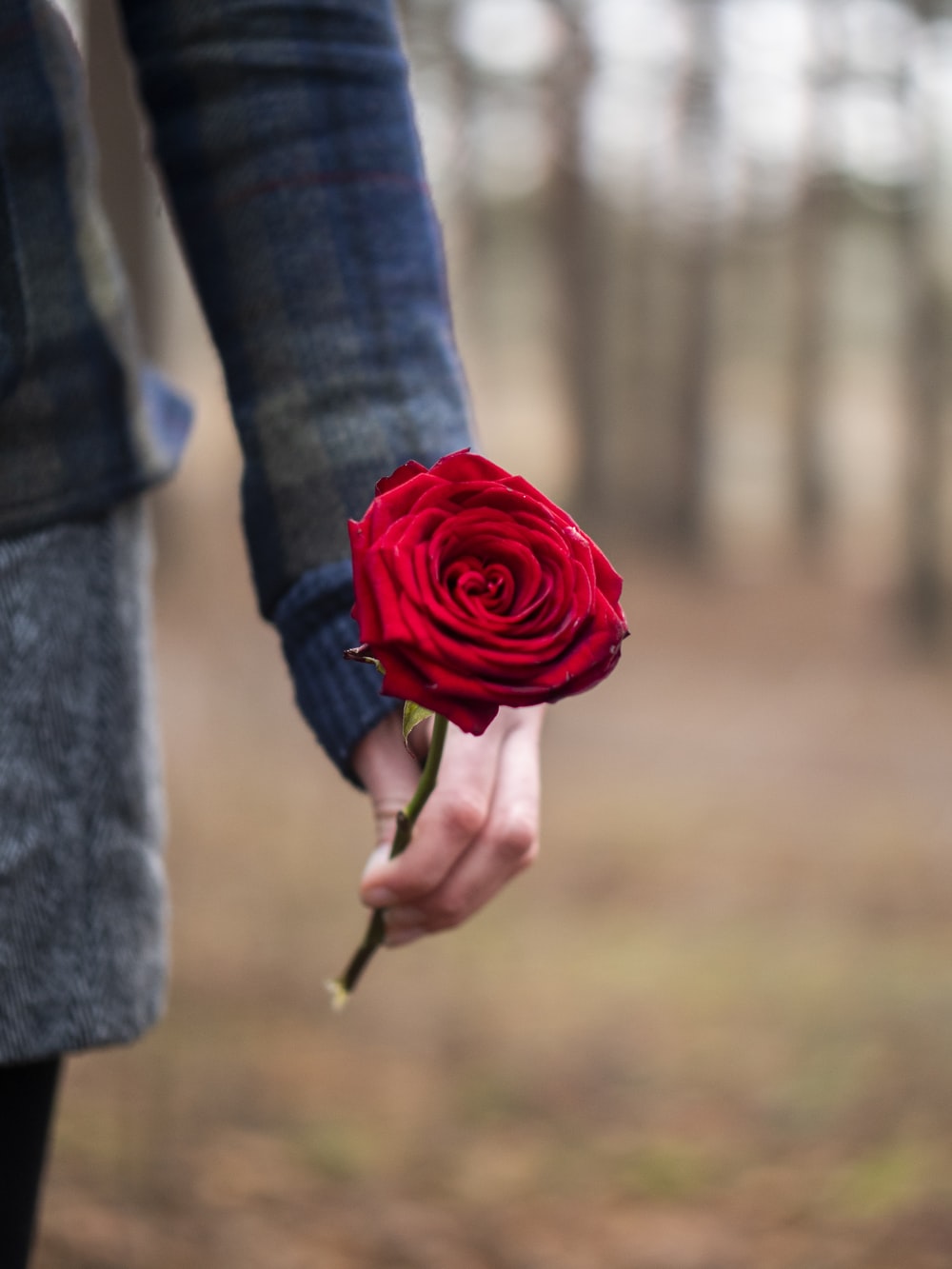 Flower In Hand Wallpapers Wallpaper Cave