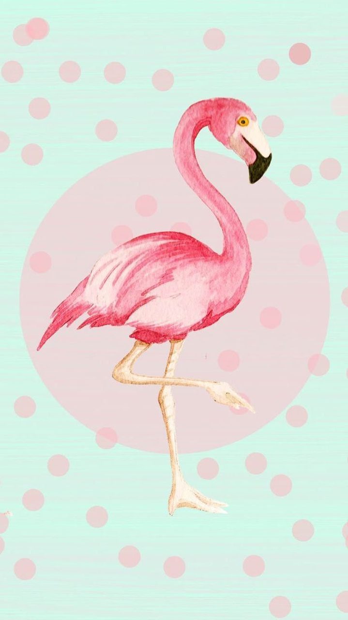 Cute Flamingo Wallpapers Wallpaper Cave