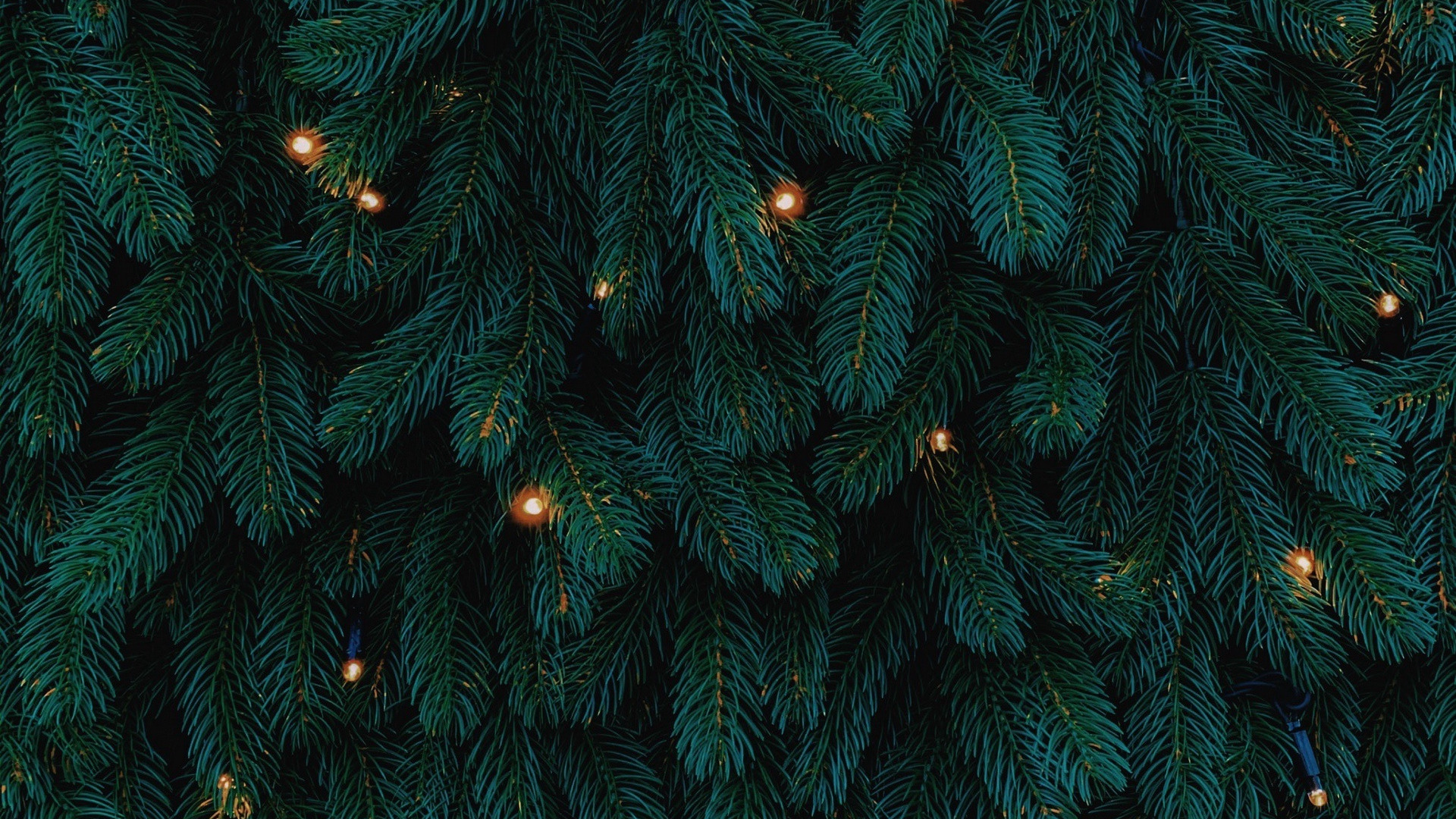 Pine And Christmas Lights Wallpapers Wallpaper Cave