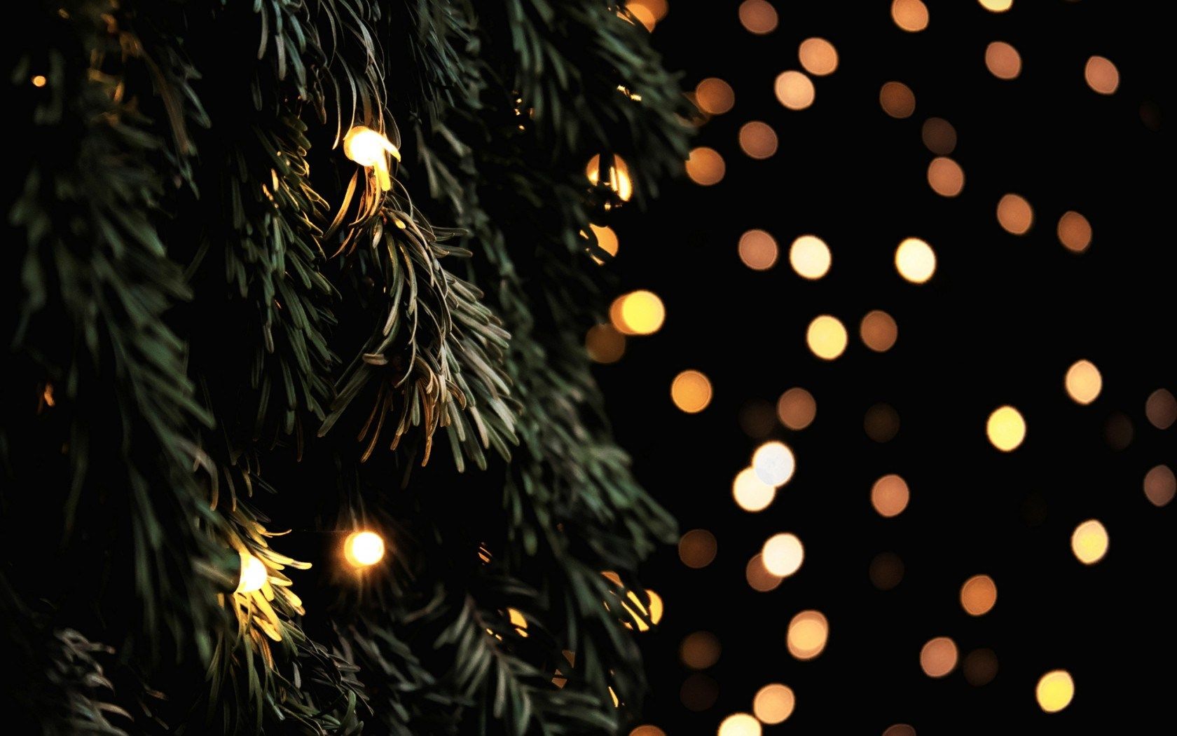 Pine And Christmas Lights Wallpapers Wallpaper Cave