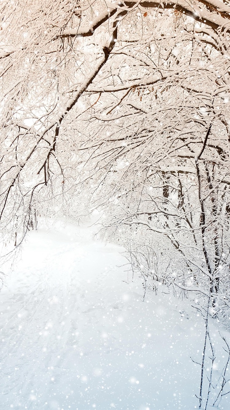 Winter iPhone White Wallpapers Wallpaper Cave